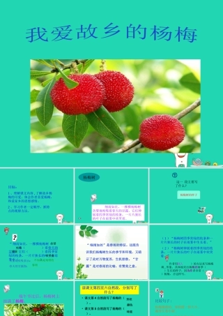 三年级语文上册 第六单元 16 我爱故乡的杨梅课件 鄂教版