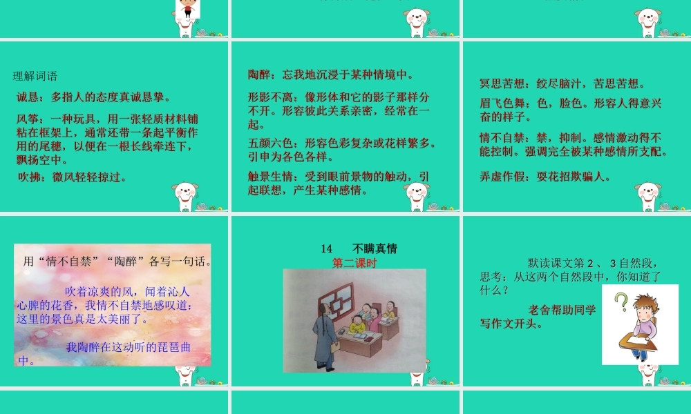 三年级语文上册 第五单元 14 不瞒真情课件 鄂教版-鄂教版小学三年级上册语文课件