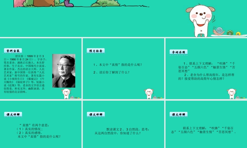 三年级语文上册 第五单元 14《不瞒真情》课件 鄂教版-鄂教版小学三年级上册语文课件