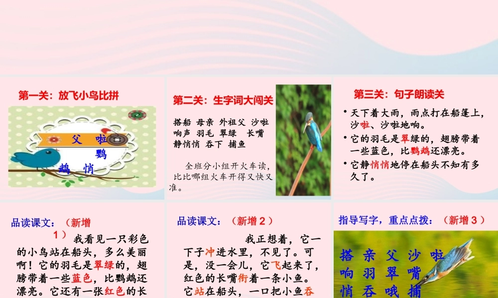 三年级语文上册 第五单元 15 搭船的鸟课件 新人教版