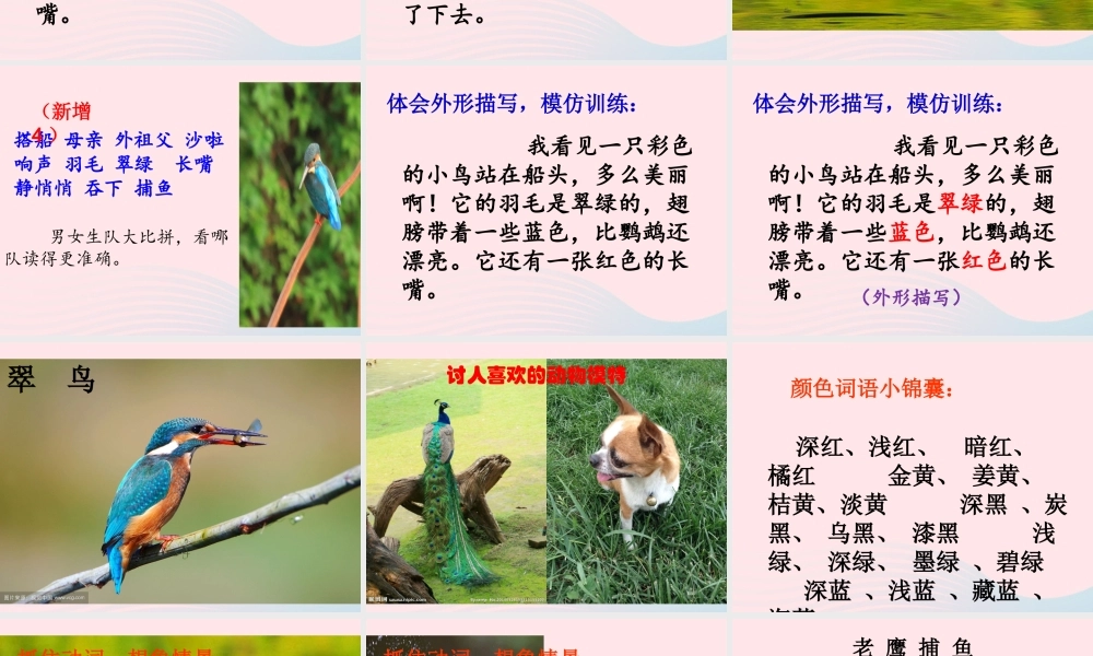 三年级语文上册 第五单元 15 搭船的鸟课件 新人教版