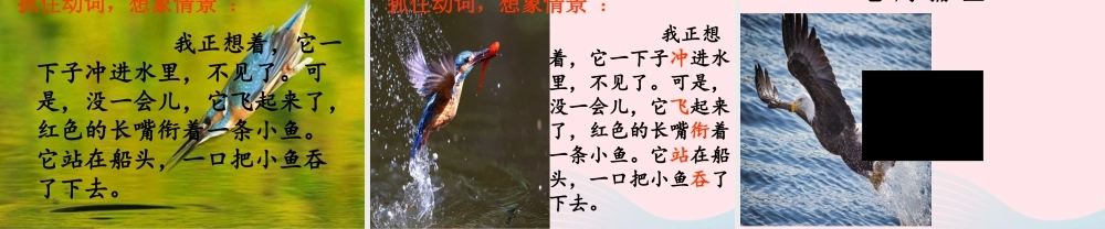 三年级语文上册 第五单元 15 搭船的鸟课件 新人教版