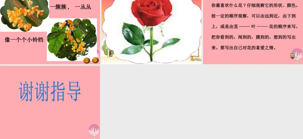 三年级语文上册 花课件 湘教版-湘教版小学三年级上册语文课件