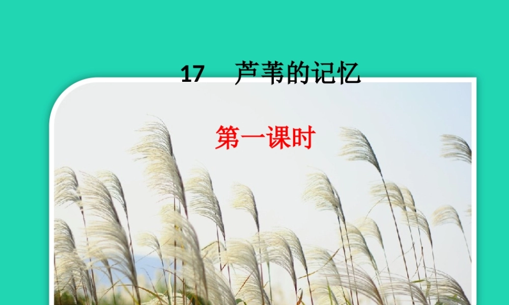 三年级语文上册 第六单元 17 芦苇的记忆课件 鄂教版-鄂教版小学三年级上册语文课件