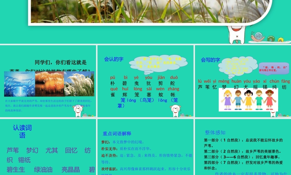三年级语文上册 第六单元 17 芦苇的记忆课件 鄂教版-鄂教版小学三年级上册语文课件