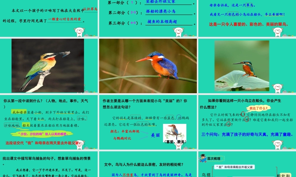 三年级语文上册 第五单元 15搭船的鸟课件2 新人教版-新人教版小学三年级上册语文课件