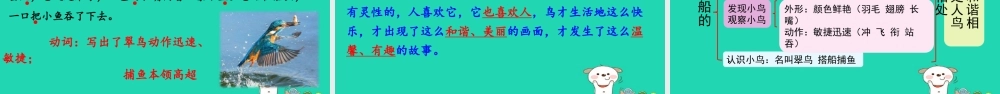 三年级语文上册 第五单元 15搭船的鸟课件2 新人教版-新人教版小学三年级上册语文课件