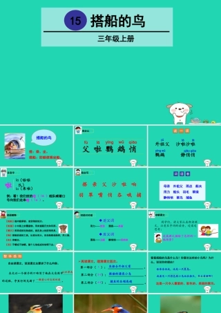 三年级语文上册 第五单元 15搭船的鸟课件2 新人教版-新人教版小学三年级上册语文课件