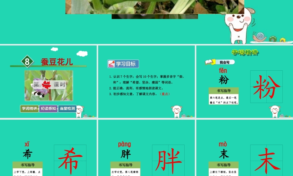 三年级语文上册 第二单元 8 蚕豆花儿（第1课时）课件 冀教版-冀教版小学三年级上册语文课件