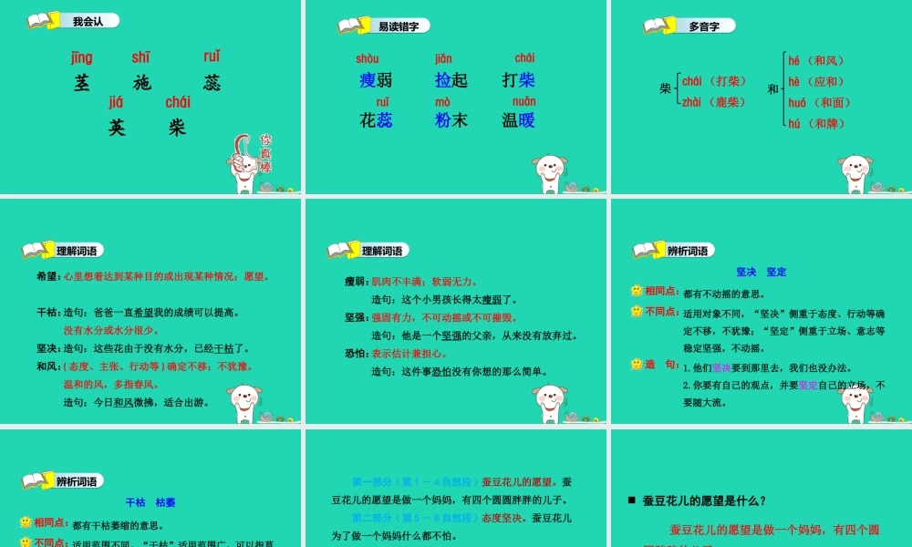 三年级语文上册 第二单元 8 蚕豆花儿（第1课时）课件 冀教版-冀教版小学三年级上册语文课件