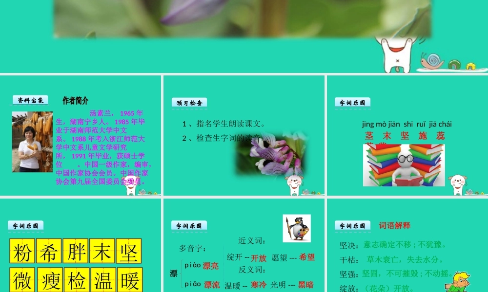 三年级语文上册 第二单元 8 蚕豆花儿课件 冀教版