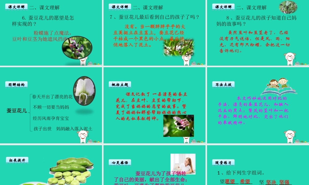 三年级语文上册 第二单元 8 蚕豆花儿课件 冀教版