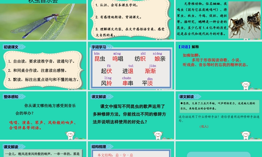 三年级语文上册 第四单元 13 秋虫音乐会课件 湘教版