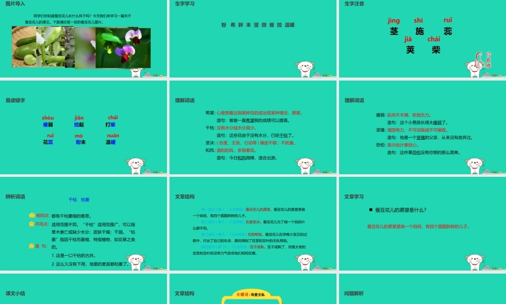 三年级语文上册 第二单元 8蚕豆花儿课件 冀教版-冀教版小学三年级上册语文课件