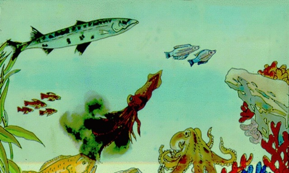 三年级语文上册《海底世界》课件1 语文A版-语文A版小学三年级上册语文课件