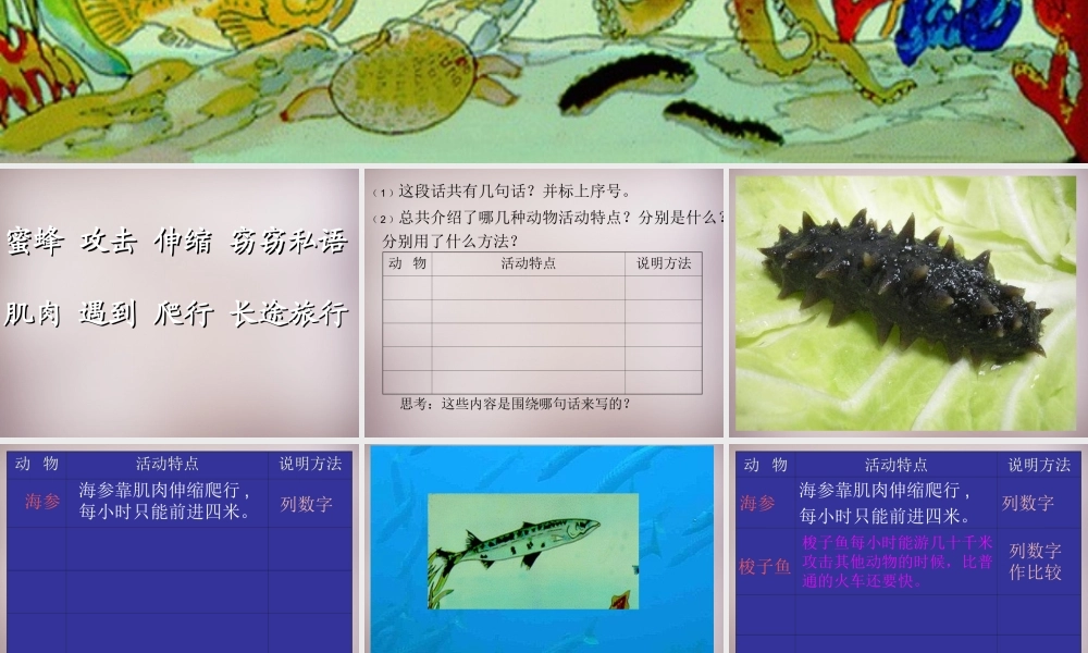 三年级语文上册《海底世界》课件1 语文A版-语文A版小学三年级上册语文课件