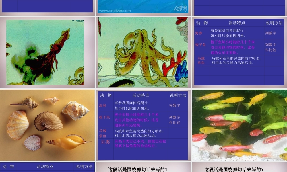 三年级语文上册《海底世界》课件1 语文A版-语文A版小学三年级上册语文课件