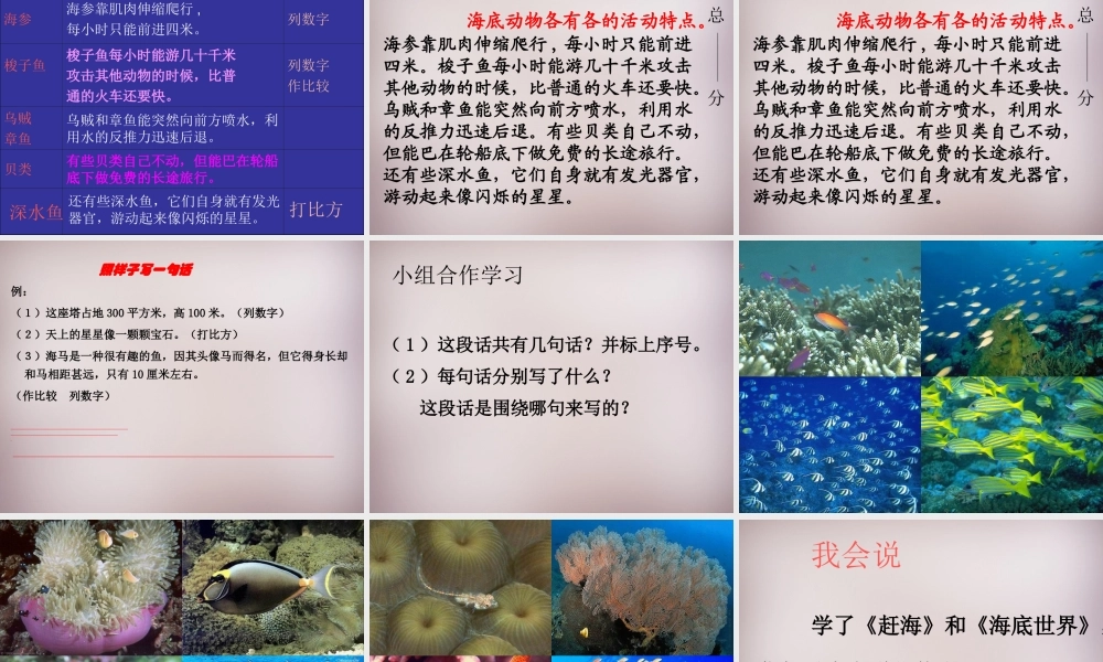 三年级语文上册《海底世界》课件1 语文A版-语文A版小学三年级上册语文课件