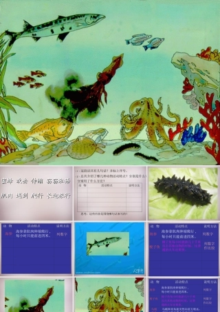 三年级语文上册《海底世界》课件1 语文A版-语文A版小学三年级上册语文课件