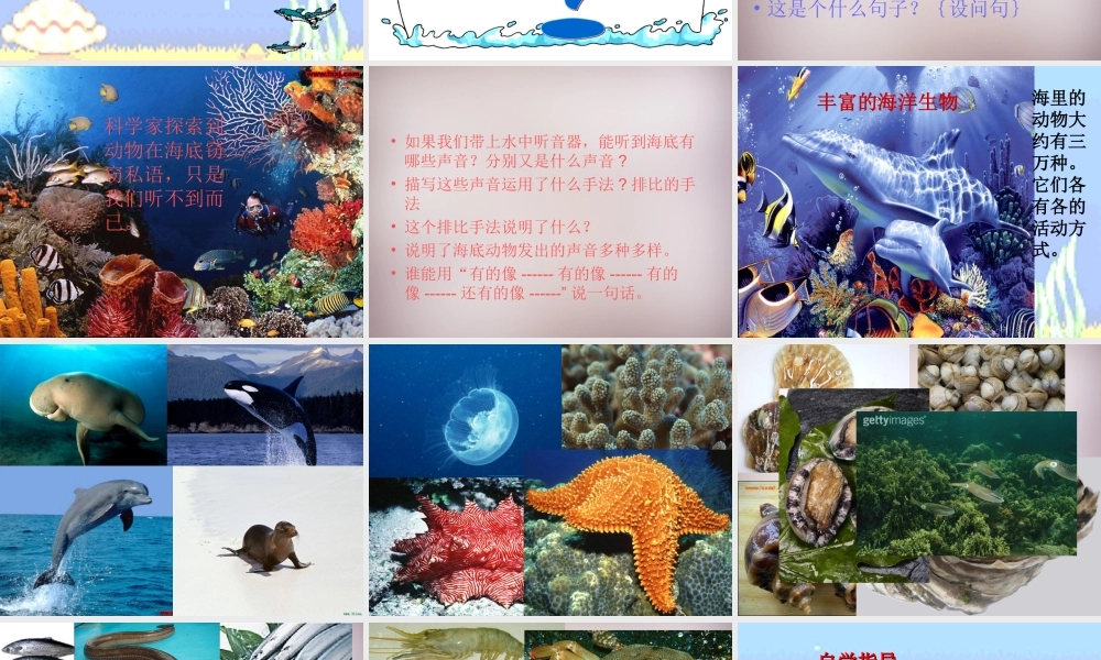 三年级语文上册《海底世界》课件2 语文A版-语文A版小学三年级上册语文课件