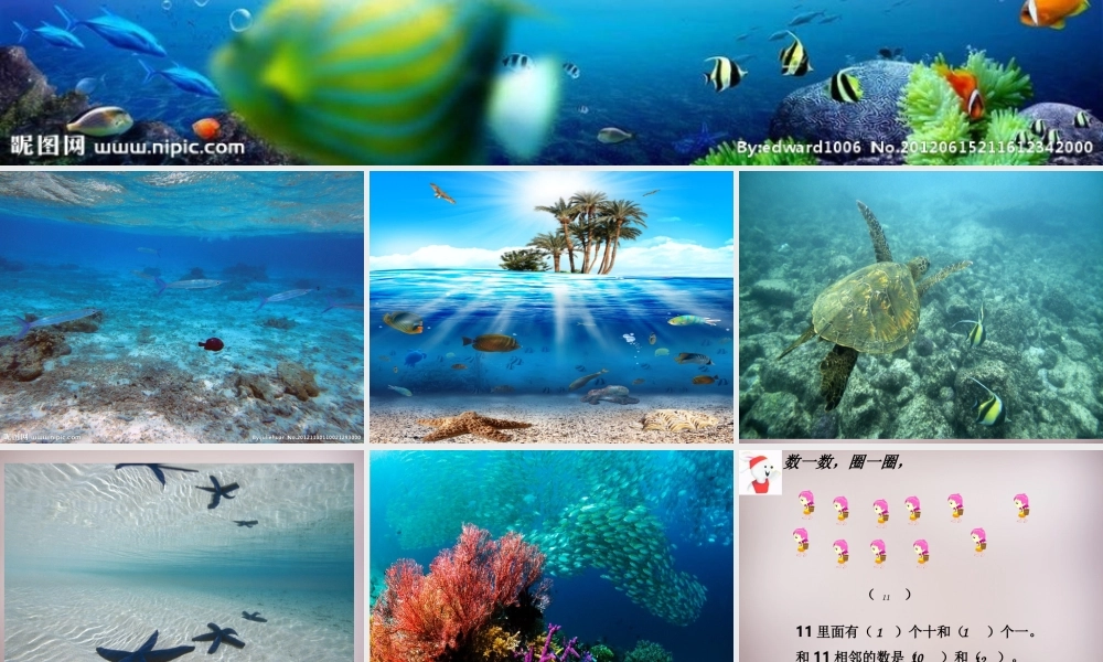 三年级语文上册《海底世界》课件3 语文A版-语文A版小学三年级上册语文课件