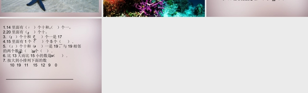 三年级语文上册《海底世界》课件3 语文A版-语文A版小学三年级上册语文课件