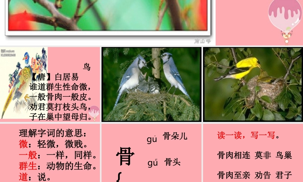 三年级语文上册 第九单元 鸟课件1 长春版-长春版小学三年级上册语文课件