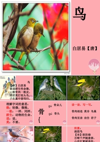 三年级语文上册 第九单元 鸟课件1 长春版-长春版小学三年级上册语文课件