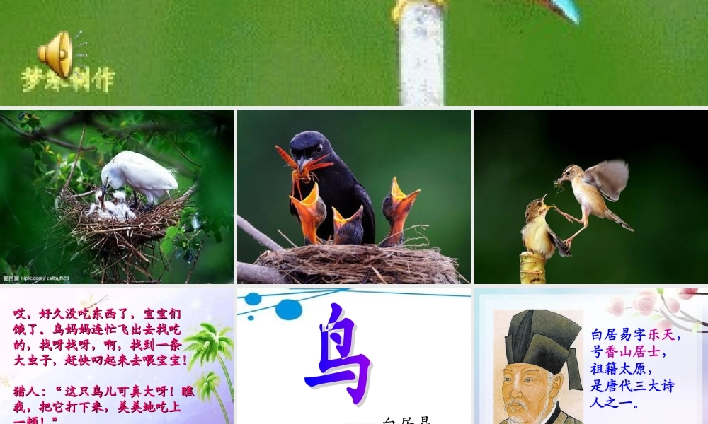 三年级语文上册 第九单元 鸟课件2 长春版-长春版小学三年级上册语文课件