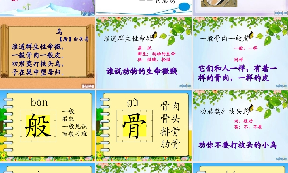 三年级语文上册 第九单元 鸟课件2 长春版-长春版小学三年级上册语文课件