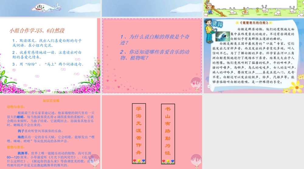 三年级语文上册 第九单元 喜爱音乐的白鲸课件2 长春版-长春版小学三年级上册语文课件