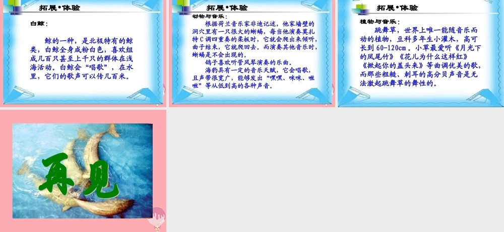 三年级语文上册 第九单元 喜爱音乐的白鲸课件3 长春版-长春版小学三年级上册语文课件