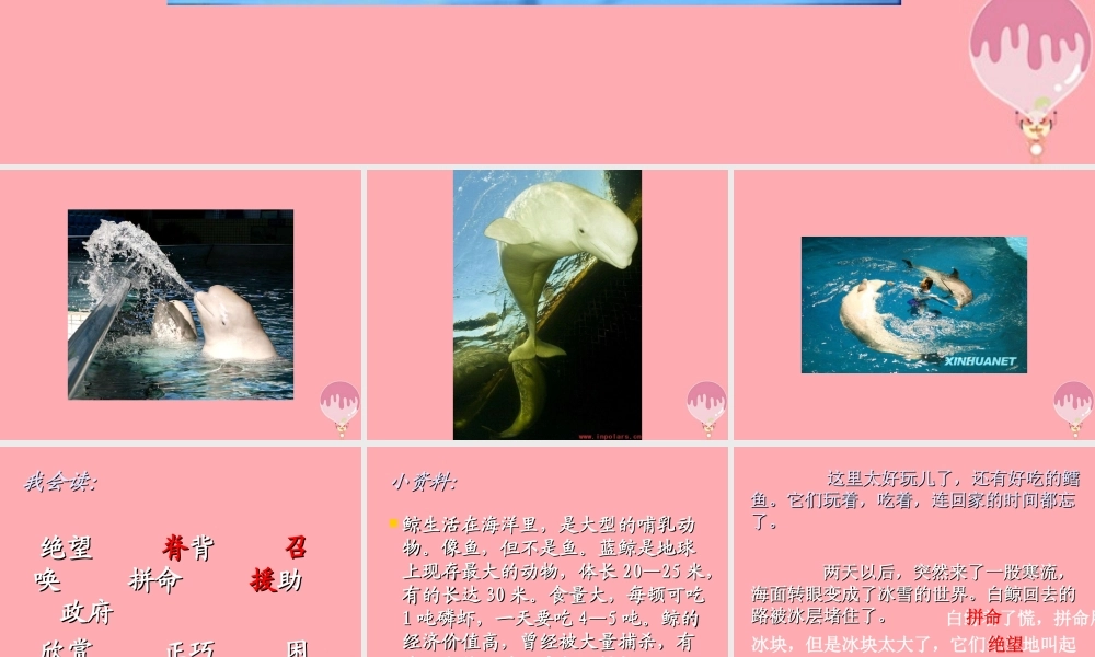 三年级语文上册 第九单元 喜爱音乐的白鲸课件4 长春版-长春版小学三年级上册语文课件