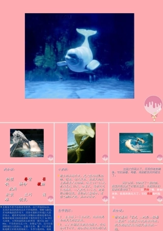 三年级语文上册 第九单元 喜爱音乐的白鲸课件4 长春版-长春版小学三年级上册语文课件