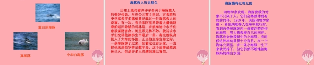 三年级语文上册 第九单元 义务领航员课件2 长春版-长春版小学三年级上册语文课件
