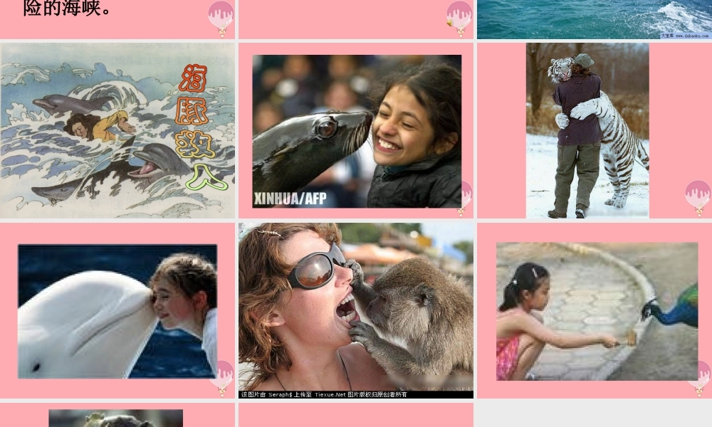 三年级语文上册 第九单元 义务领航员课件3 长春版-长春版小学三年级上册语文课件