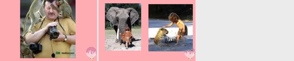 三年级语文上册 第九单元 义务领航员课件3 长春版-长春版小学三年级上册语文课件