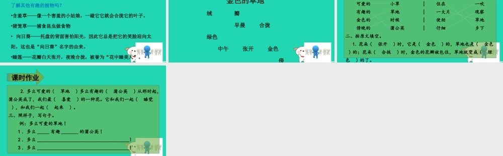 三年级语文上册 第五单元 16金色的草地（第2课时）课件 新人教版-新人教版小学三年级上册语文课件