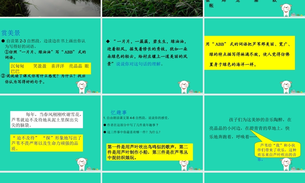 三年级语文上册 第六单元 17芦苇的记忆课件 鄂教版