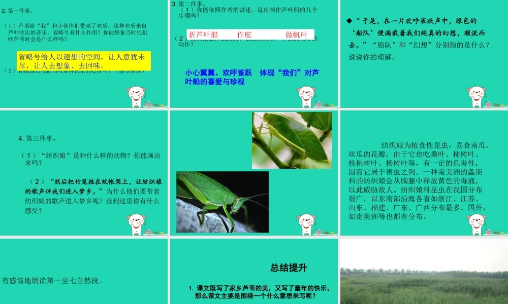 三年级语文上册 第六单元 17芦苇的记忆课件 鄂教版