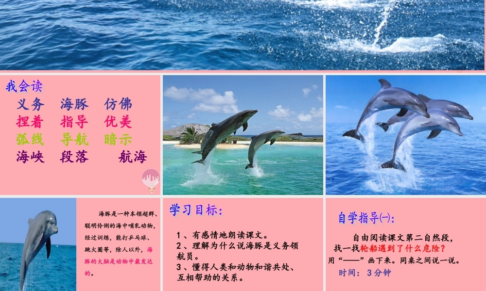 三年级语文上册 第九单元 义务领航员课件4 长春版-长春版小学三年级上册语文课件