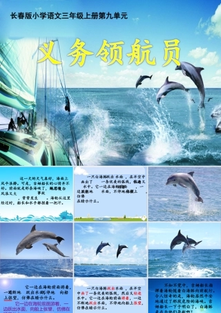 三年级语文上册 第九单元 义务领航员课件5 长春版-长春版小学三年级上册语文课件