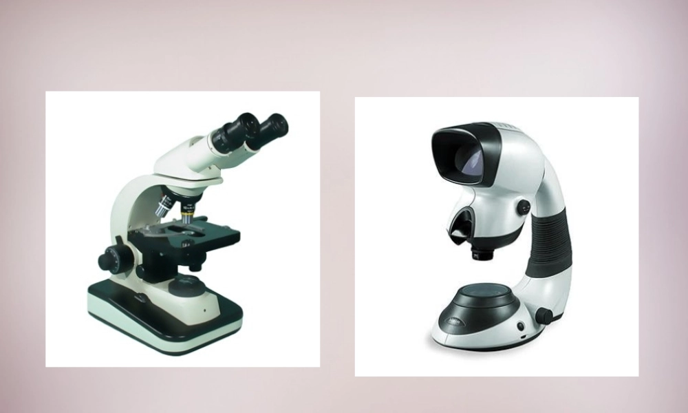 三年级语文上册《看门人的魔镜》课件3 语文A版-语文A版小学三年级上册语文课件