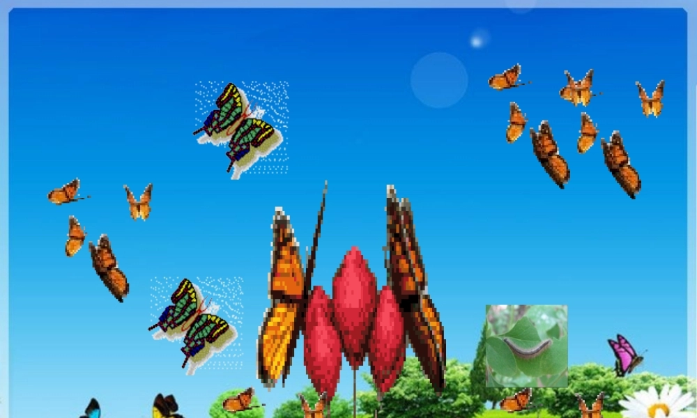 三年级语文上册《毛毛虫的故事》课件1 语文A版-语文A版小学三年级上册语文课件