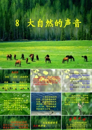 三年级语文上册 第三单元 大自然的声音课件2 鄂教版-鄂教版小学三年级上册语文课件