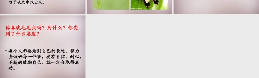 三年级语文上册《毛毛虫的故事》课件2 语文A版-语文A版小学三年级上册语文课件