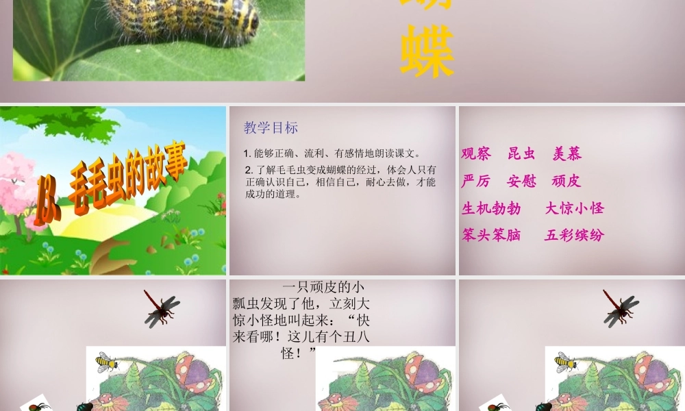三年级语文上册《毛毛虫的故事》课件3 语文A版-语文A版小学三年级上册语文课件
