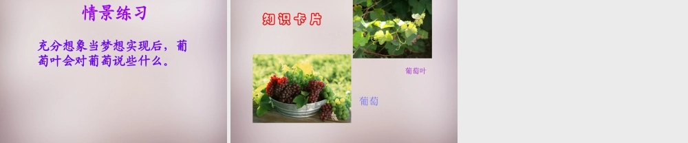 三年级语文上册《葡萄叶的梦》课件2 语文A版-语文A版小学三年级上册语文课件