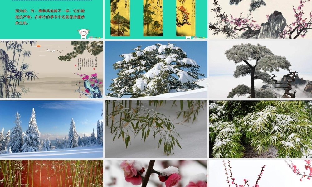 三年级语文上册 第五单元 17岁寒三友课件 冀教版