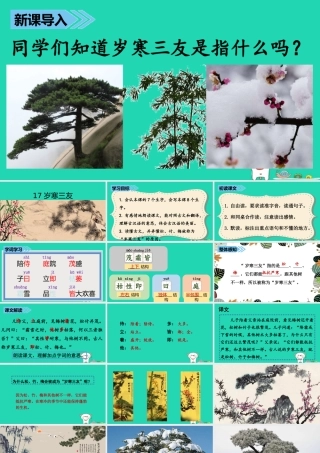 三年级语文上册 第五单元 17岁寒三友课件 冀教版